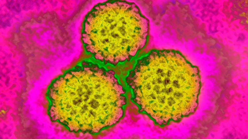 Estudo revela que uma em cada oito ocorrências de cancro no mundo está associada a infecções evitáveis